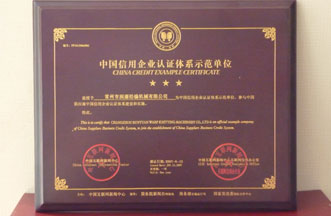 China Credit Example Certificate