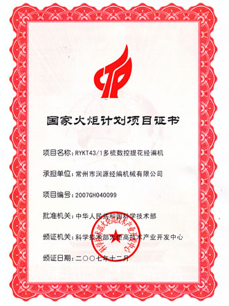 National Torch Program Project Certificate